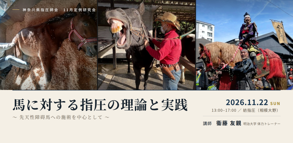 神奈川県指圧師会 11月定例研究会「馬に対する指圧の理論と実践」2026年11月22日（日）開催の告知画像