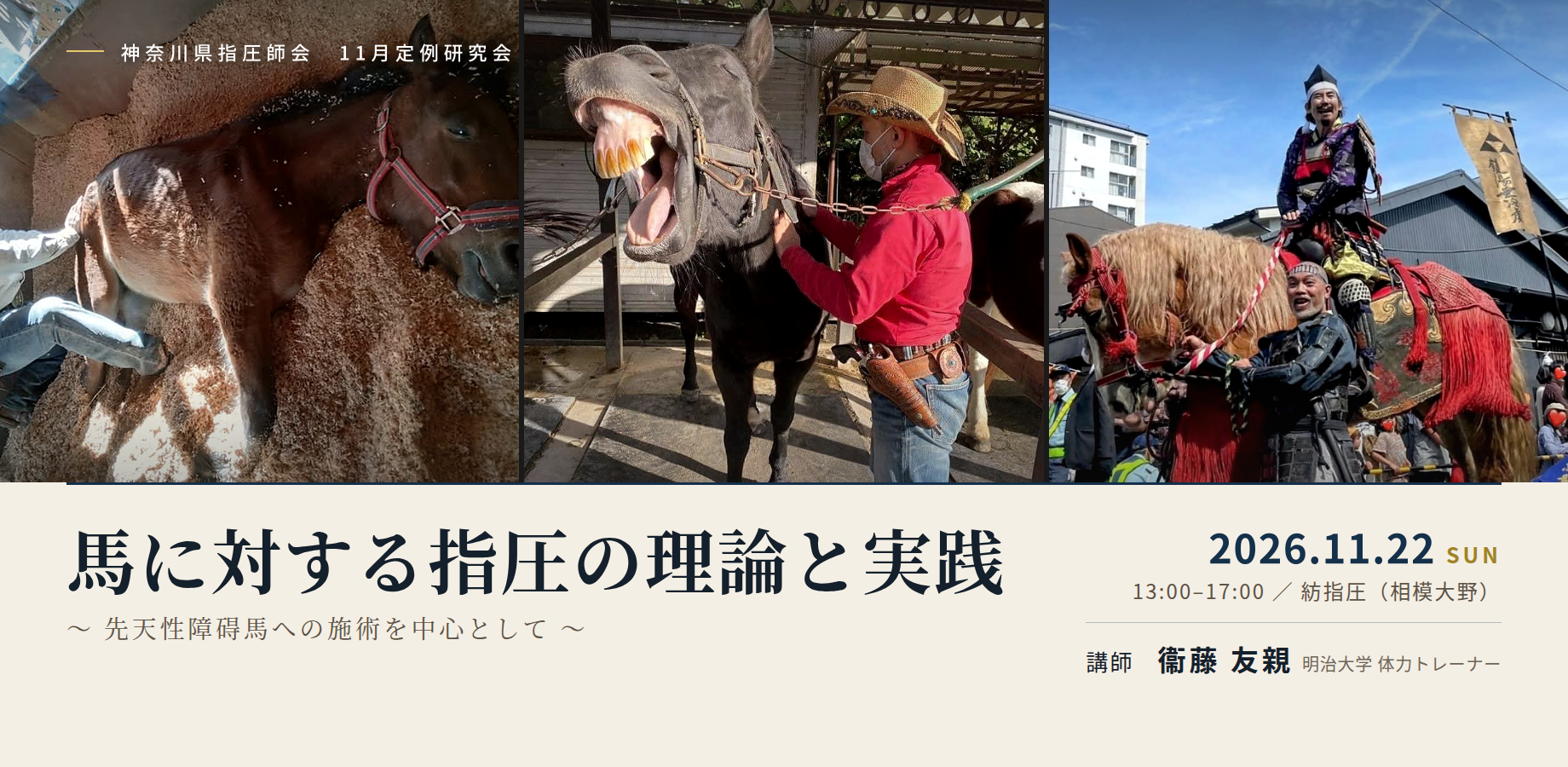 神奈川県指圧師会 11月定例研究会「馬に対する指圧の理論と実践」2026年11月22日（日）開催の告知画像