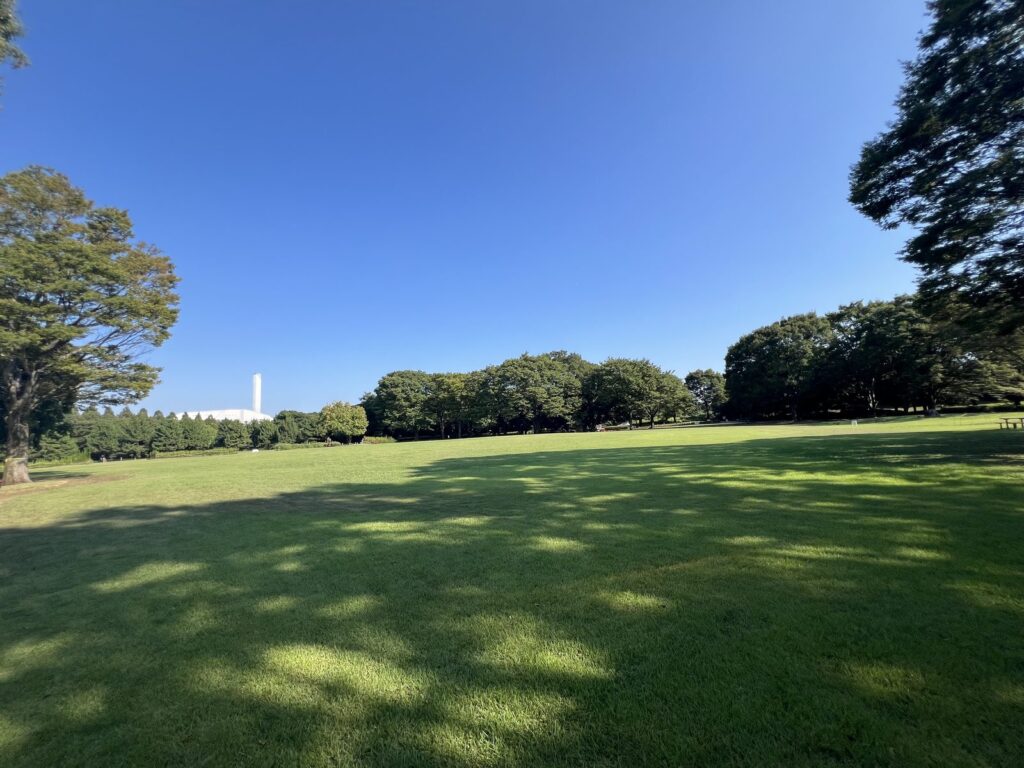 木立に囲まれた広い芝生広場