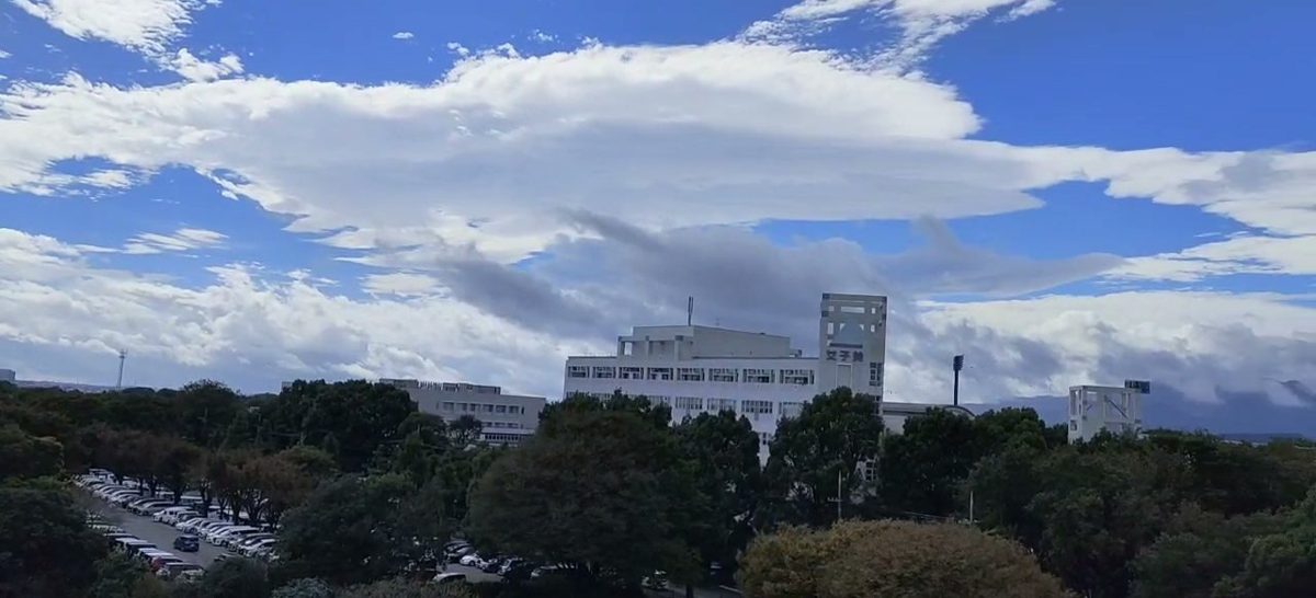 高い所から見渡した公園の緑と秋空